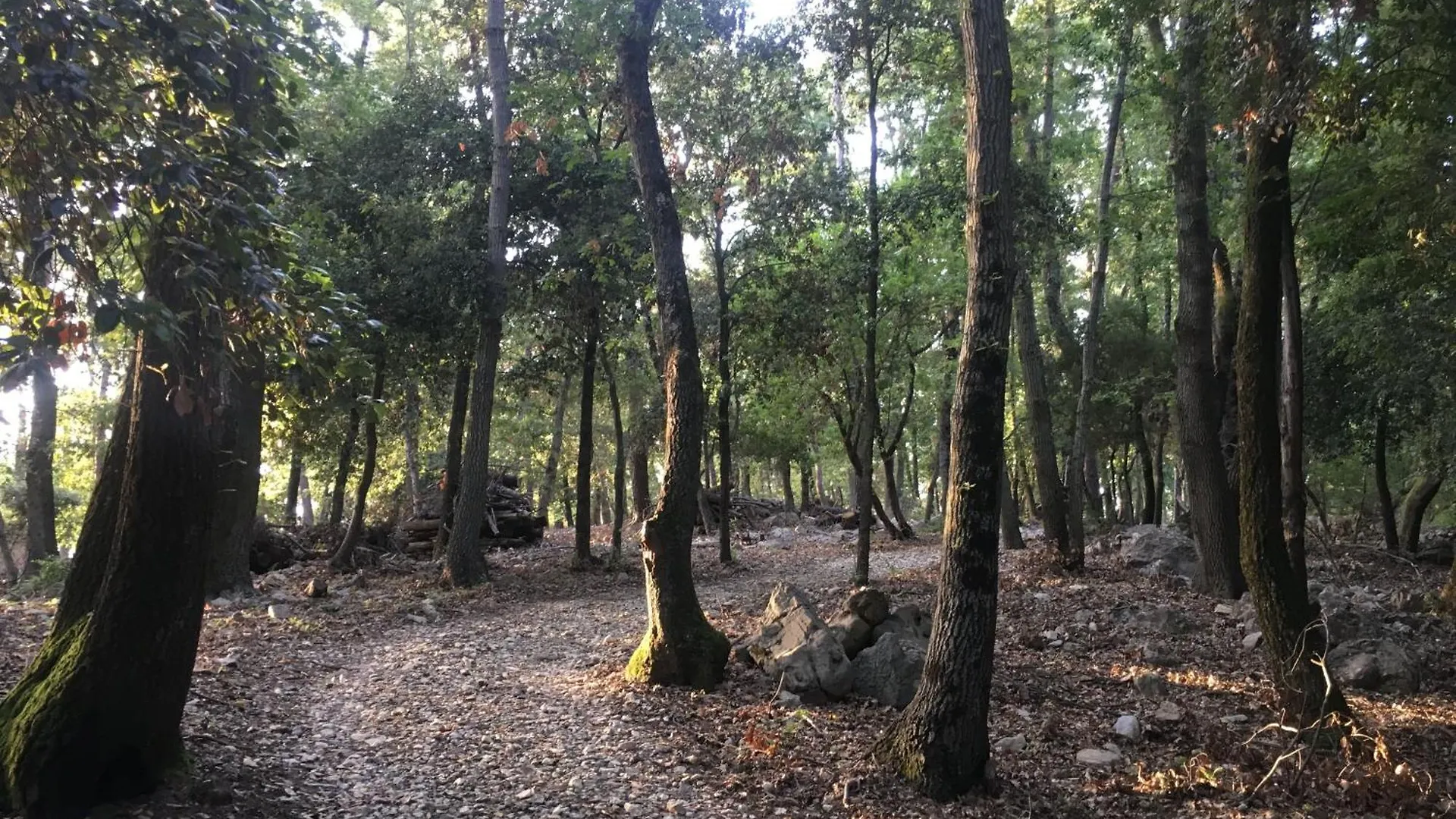 בית נופש Cipressi איטליה